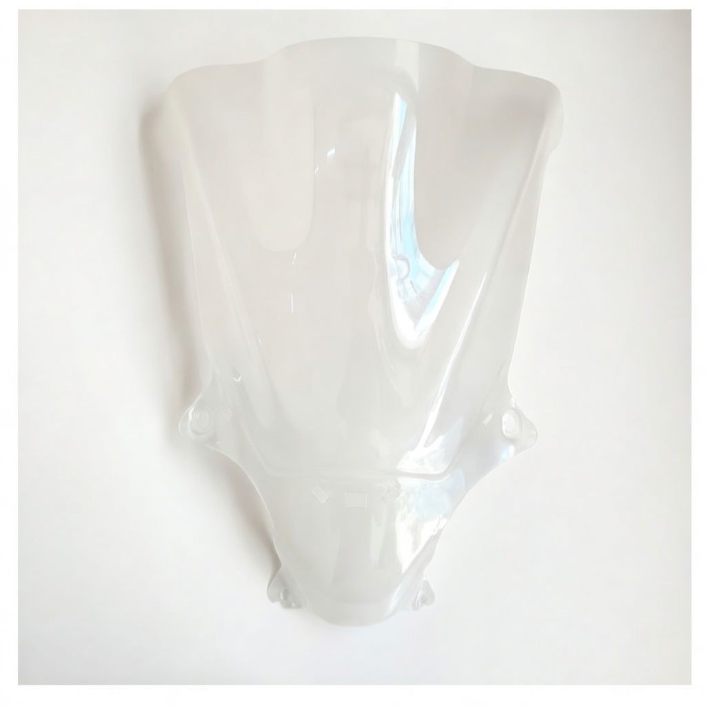 HONDA CBR 250 TOURING VISOR