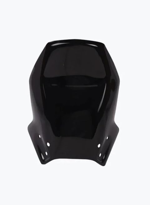 HERO XPULSE 200 VISOR