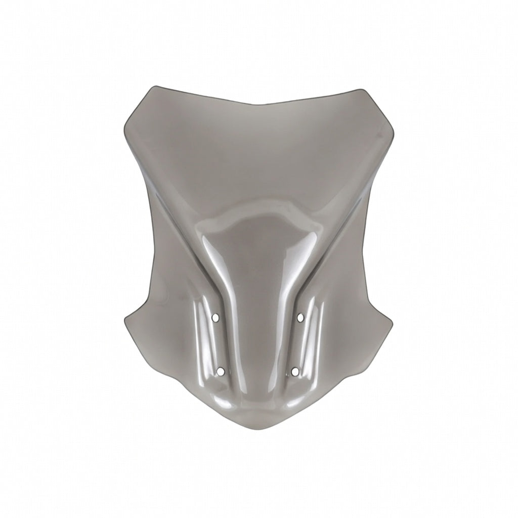 BMW GS 310 TALL TOURING VISOR